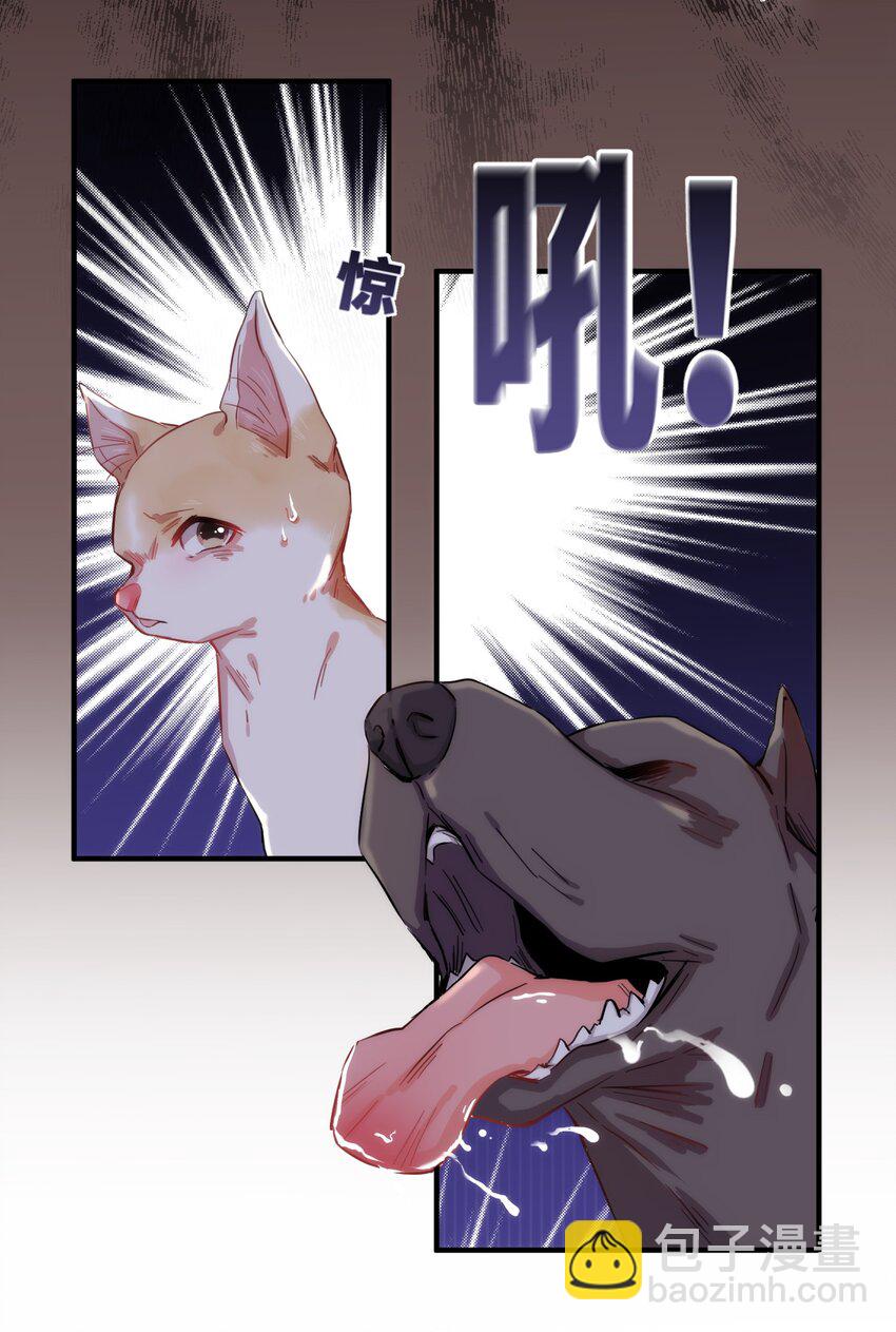 《嘘！才不是驯养关系》006 小狗豆芽的求助 第5页