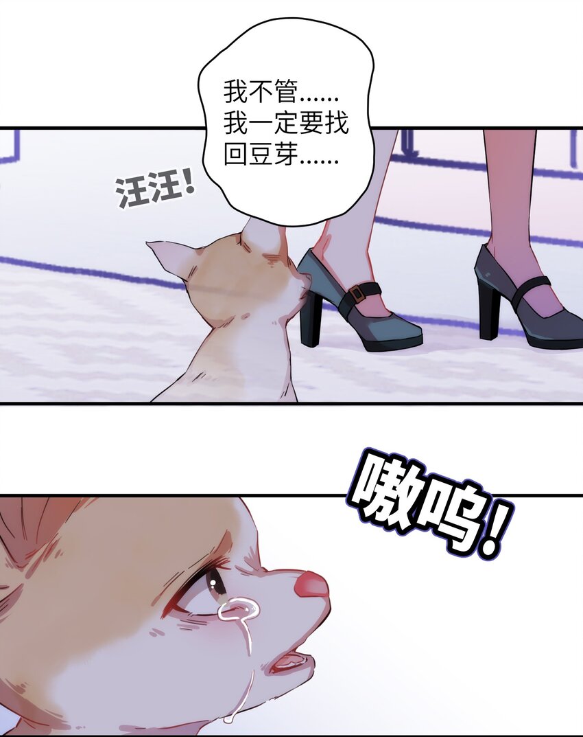 《嘘！才不是驯养关系》006 小狗豆芽的求助 第8页