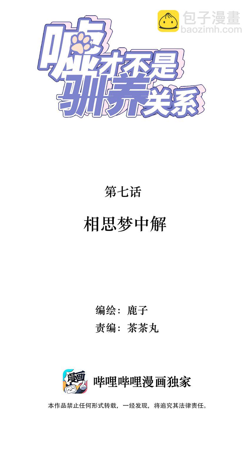 《嘘！才不是驯养关系》007 相思梦中解 第2页
