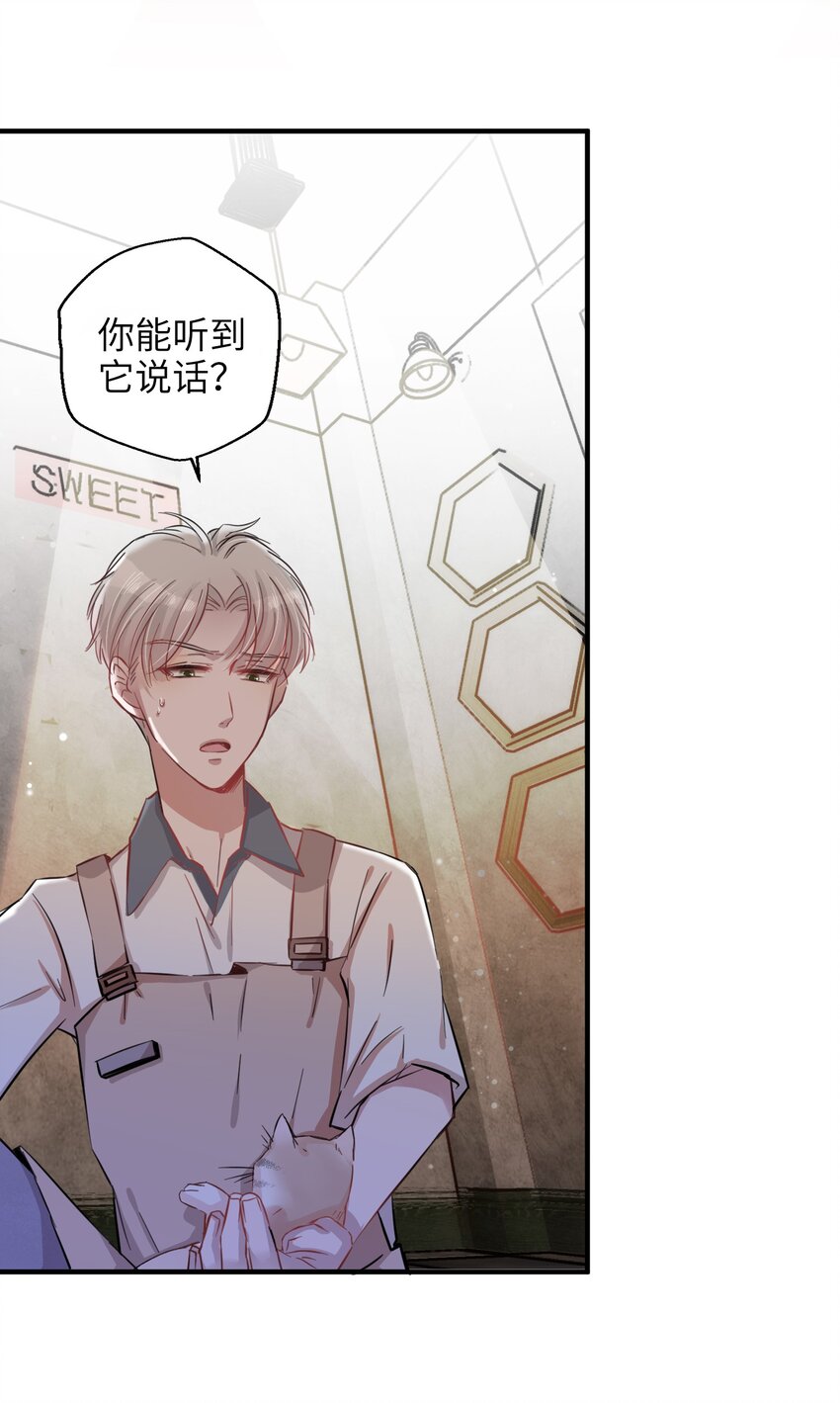 《嘘！才不是驯养关系》005 什么！居然是狗...... 第13页