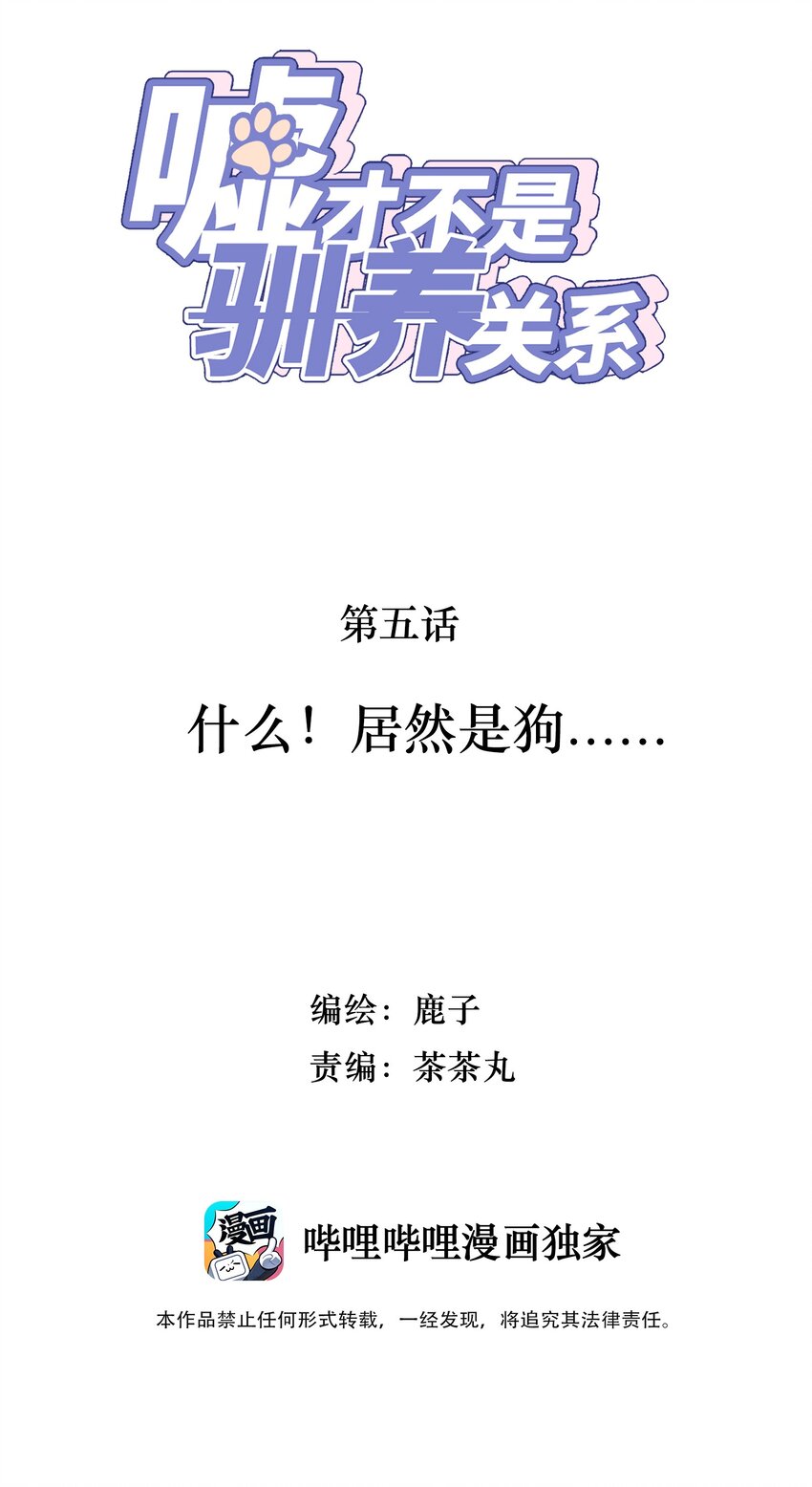 《嘘！才不是驯养关系》005 什么！居然是狗...... 第2页