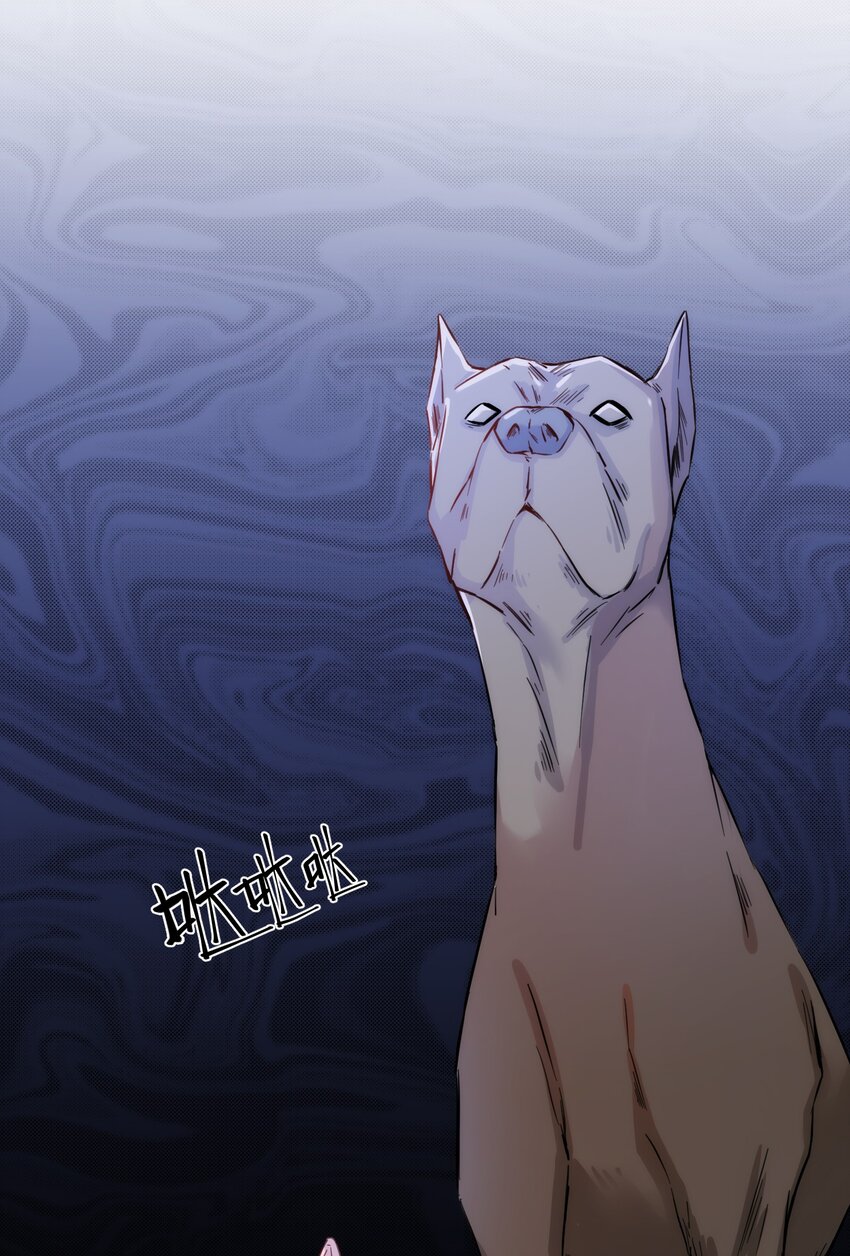 《嘘！才不是驯养关系》005 什么！居然是狗...... 第43页