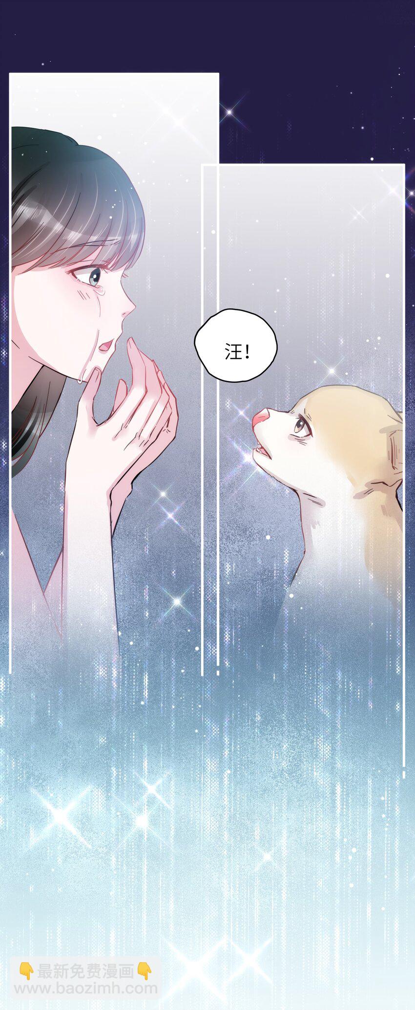 《嘘！才不是驯养关系》008 我只希望你幸福 第3页