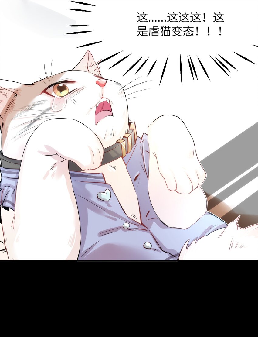 《嘘！才不是驯养关系》012 猫猫们的报复 第15页