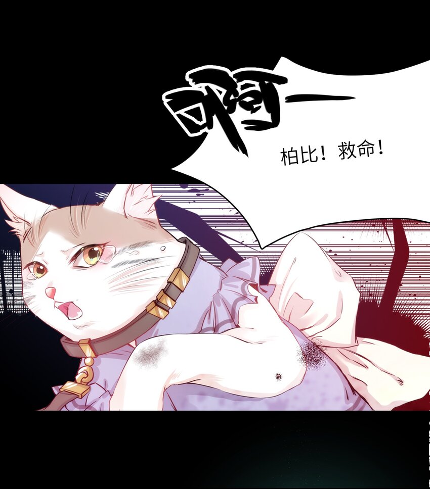 《嘘！才不是驯养关系》012 猫猫们的报复 第17页