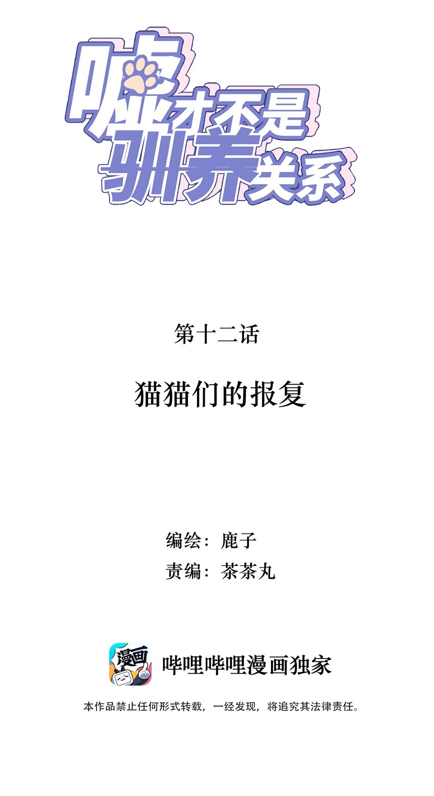 《嘘！才不是驯养关系》012 猫猫们的报复 第2页