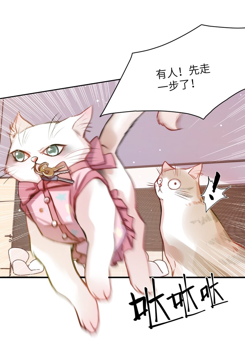 《嘘！才不是驯养关系》010 “作弊”见真情！ 第10页