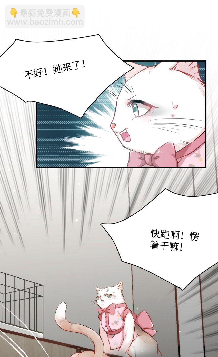 《嘘！才不是驯养关系》011 “偷卷”误遇杀机 第17页