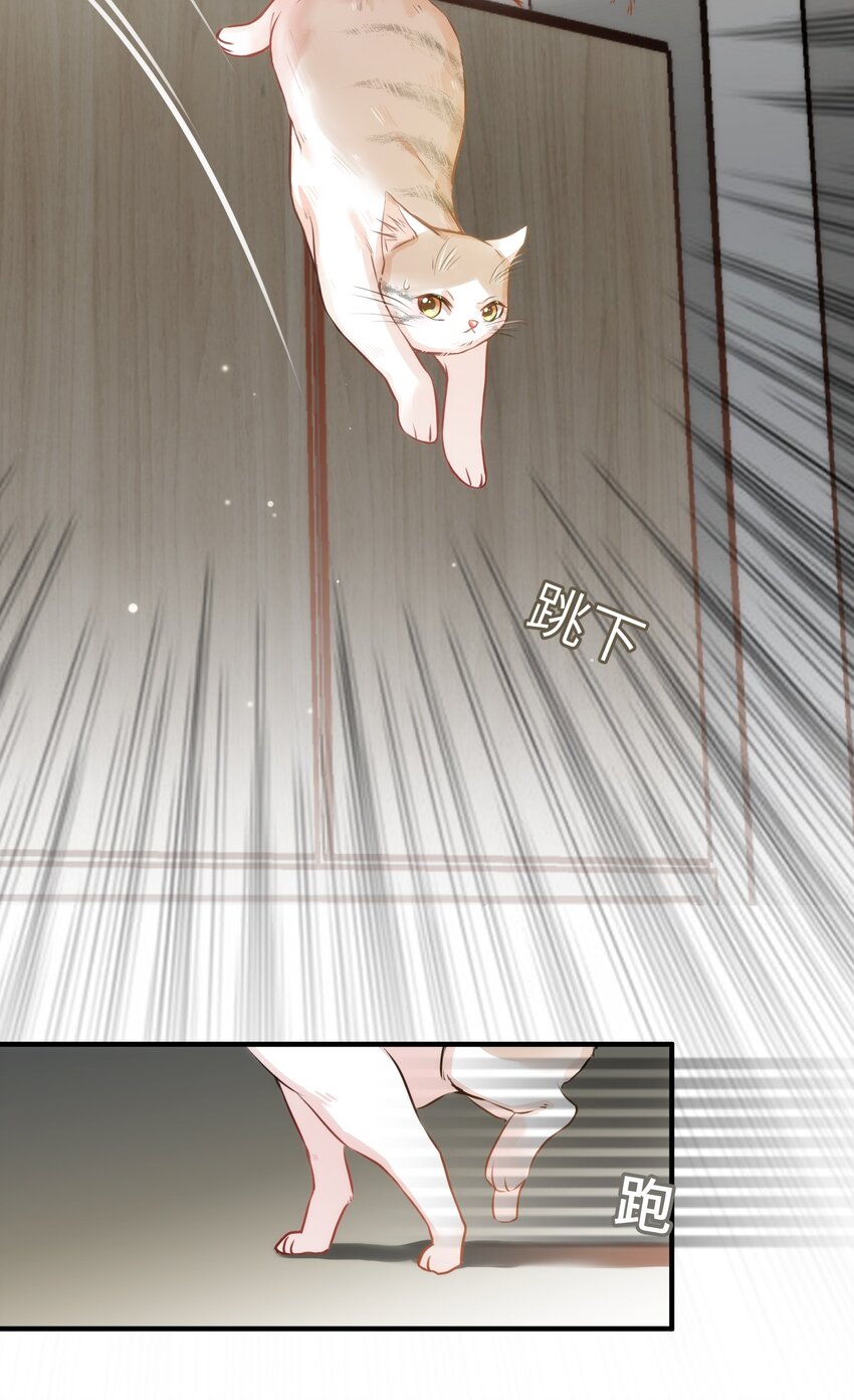 《嘘！才不是驯养关系》011 “偷卷”误遇杀机 第18页