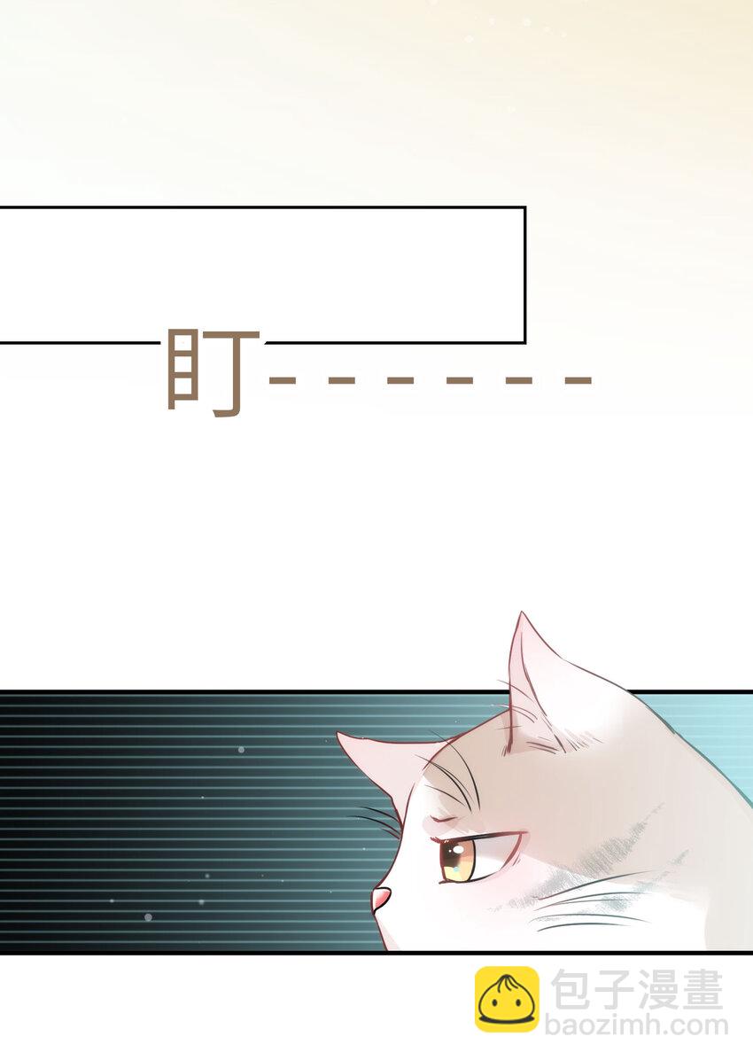 《嘘！才不是驯养关系》009 猫届女装大佬是小偷？ 第16页