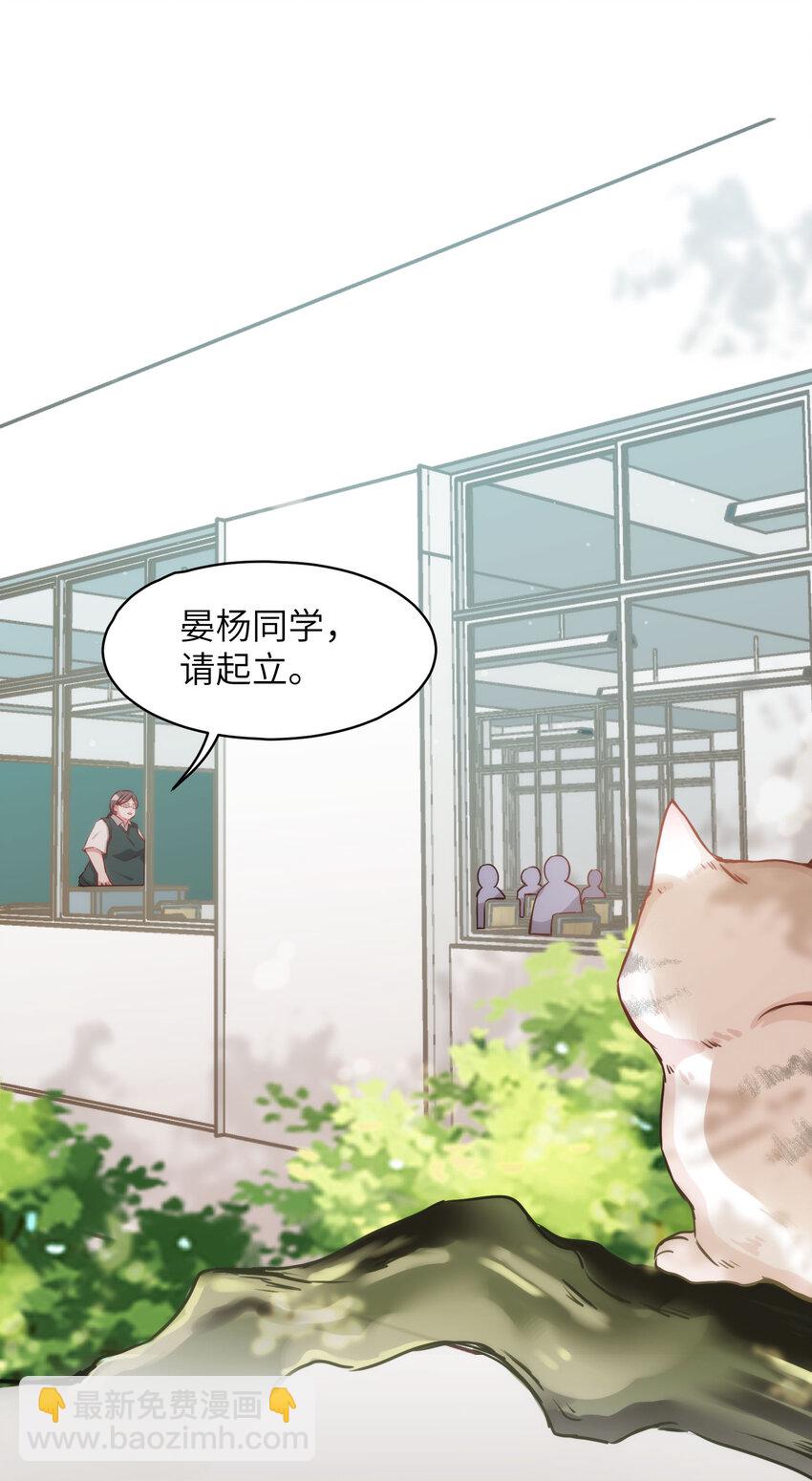《嘘！才不是驯养关系》009 猫届女装大佬是小偷？ 第17页