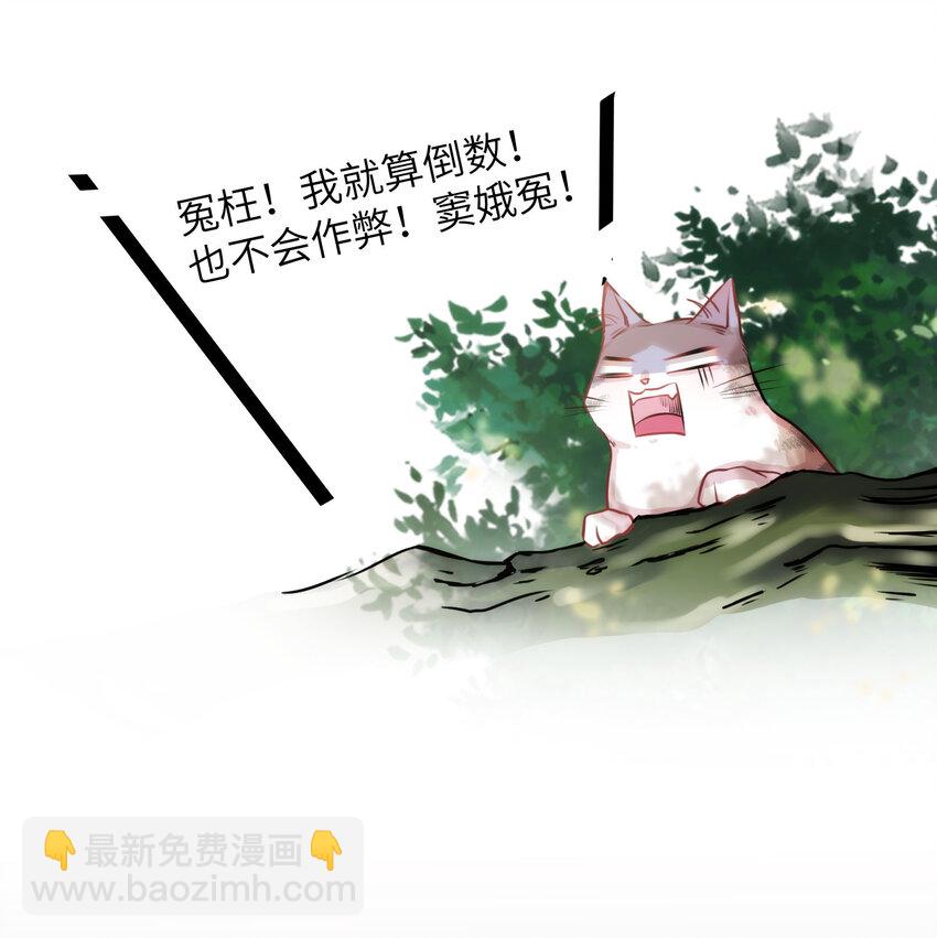 《嘘！才不是驯养关系》009 猫届女装大佬是小偷？ 第27页