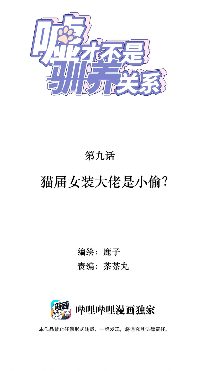 《嘘！才不是驯养关系》009 猫届女装大佬是小偷？ 第2页