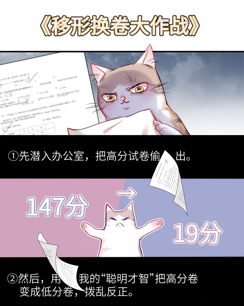 《嘘！才不是驯养关系》009 猫届女装大佬是小偷？ 第31页