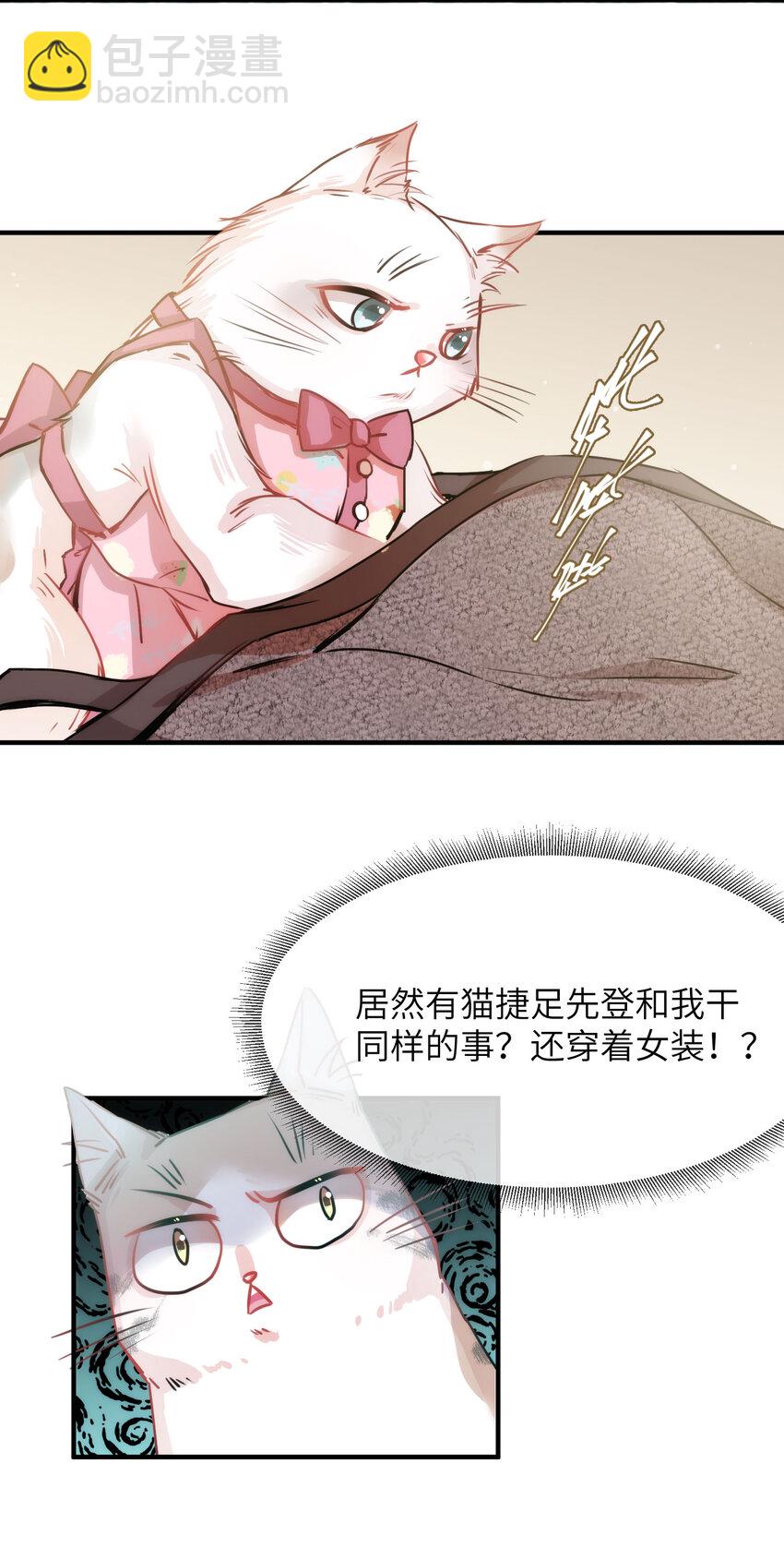 《嘘！才不是驯养关系》009 猫届女装大佬是小偷？ 第34页