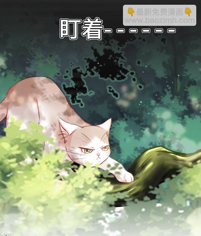 《嘘！才不是驯养关系》009 猫届女装大佬是小偷？ 第8页