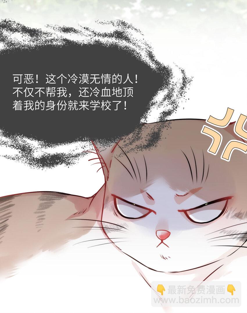 《嘘！才不是驯养关系》009 猫届女装大佬是小偷？ 第9页