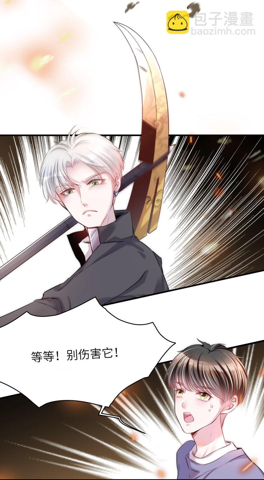 《嘘！才不是驯养关系》013 毁灭吧，虐猫人！ 第7页
