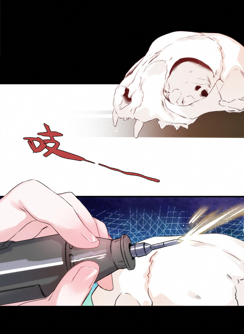 《嘘！才不是驯养关系》014 什么....死了？！ 第11页
