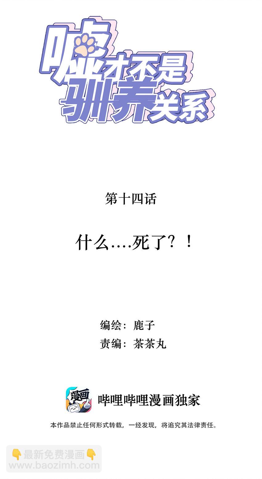《嘘！才不是驯养关系》014 什么....死了？！ 第2页