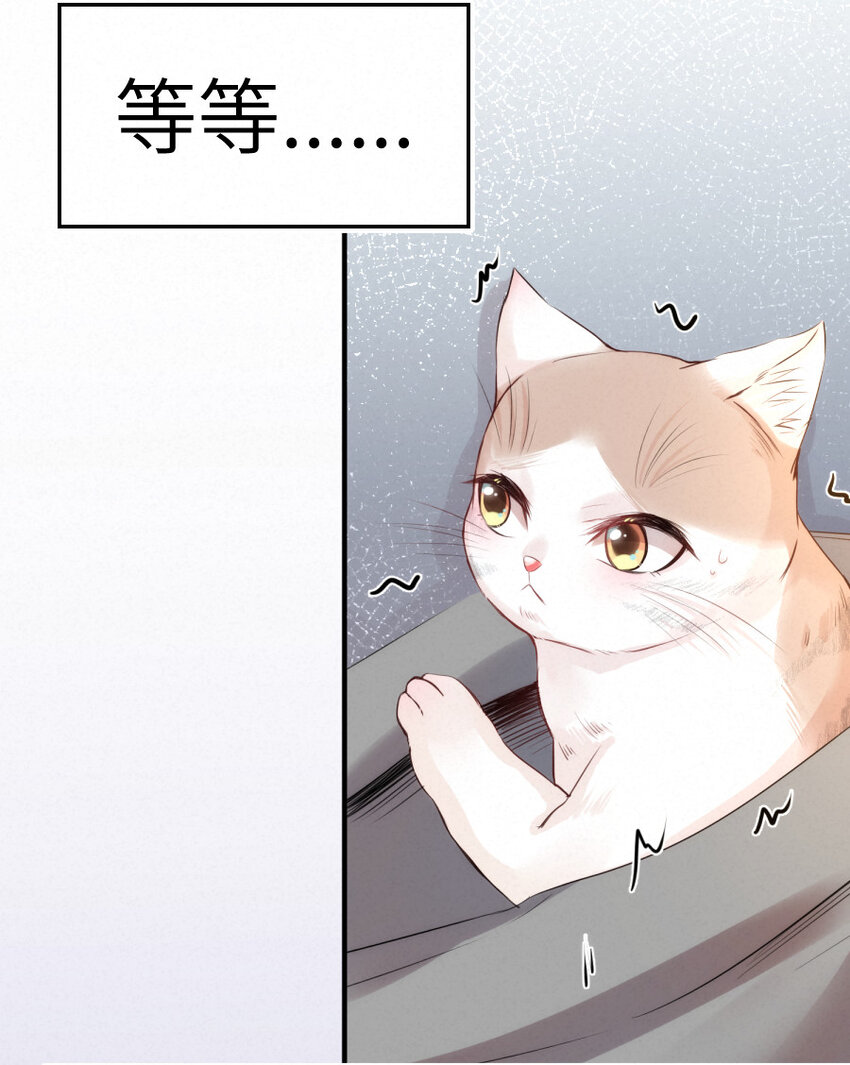 《嘘！才不是驯养关系》017 阴差也怕鬼？！ 第13页