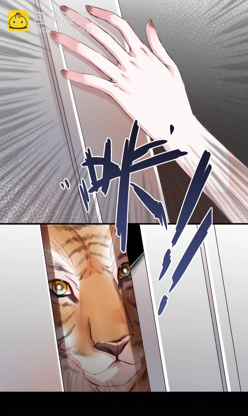 《嘘！才不是驯养关系》022 我.....是老虎 第13页