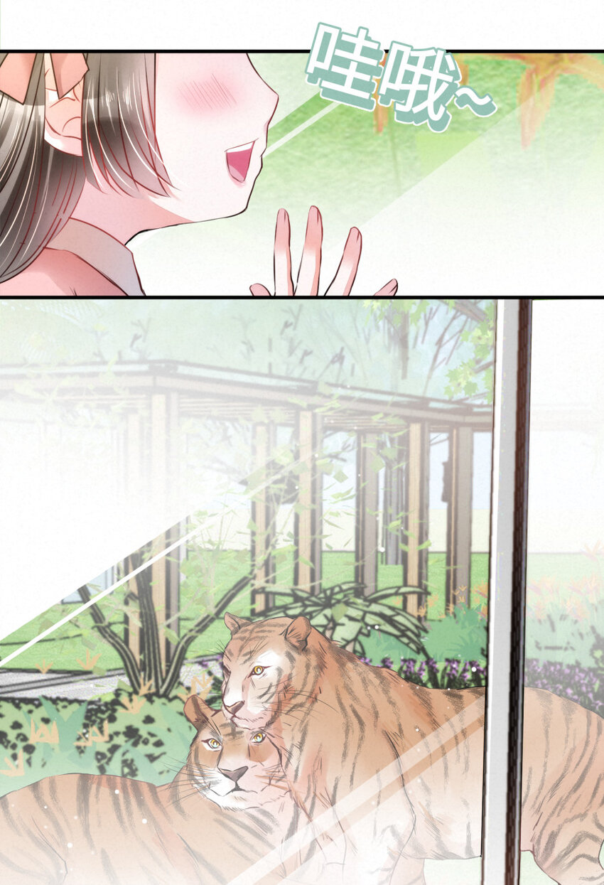 《嘘！才不是驯养关系》022 我.....是老虎 第5页