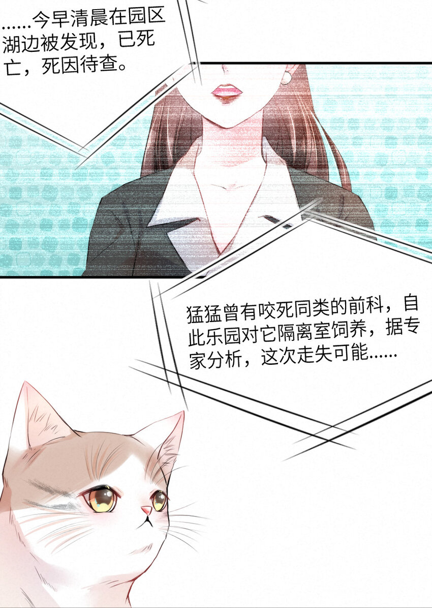 《嘘！才不是驯养关系》023 扭曲的报复 第13页