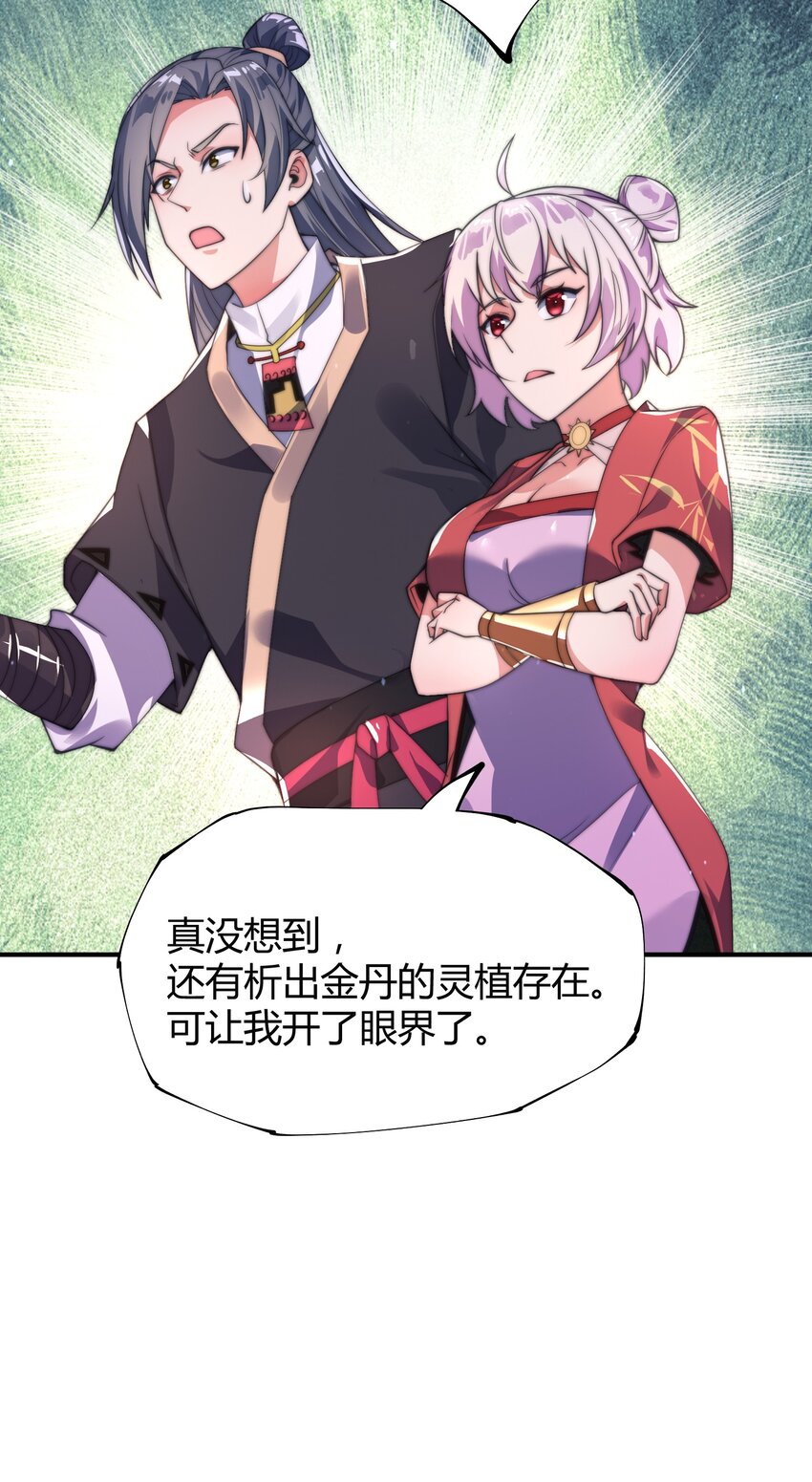 《渡劫之王》013 莫名融合的机缘 第40页