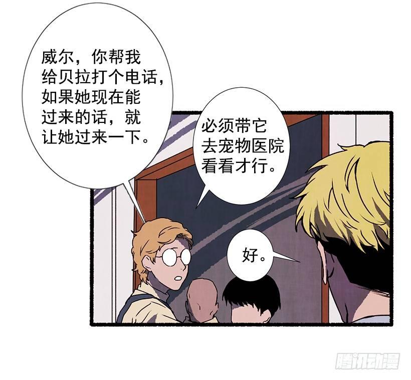 《天使之屋》9.蕾拉 第12页