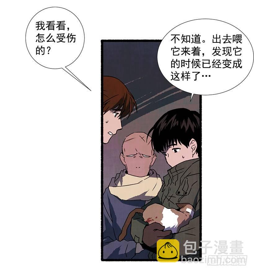 《天使之屋》9.蕾拉 第6页