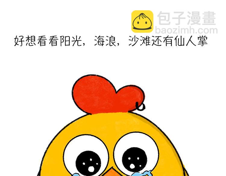 《小鸡星球》我好想逃 第12页