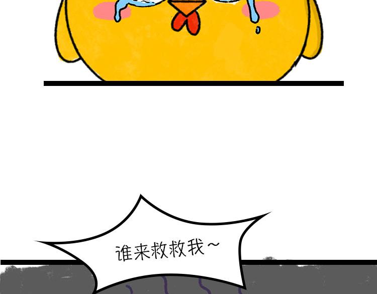 《小鸡星球》我好想逃 第13页