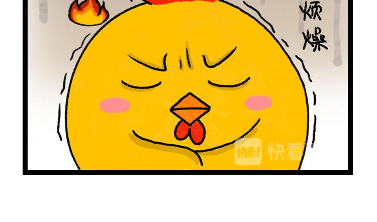 《小鸡星球》假期走的太快就像龙卷风 第11页