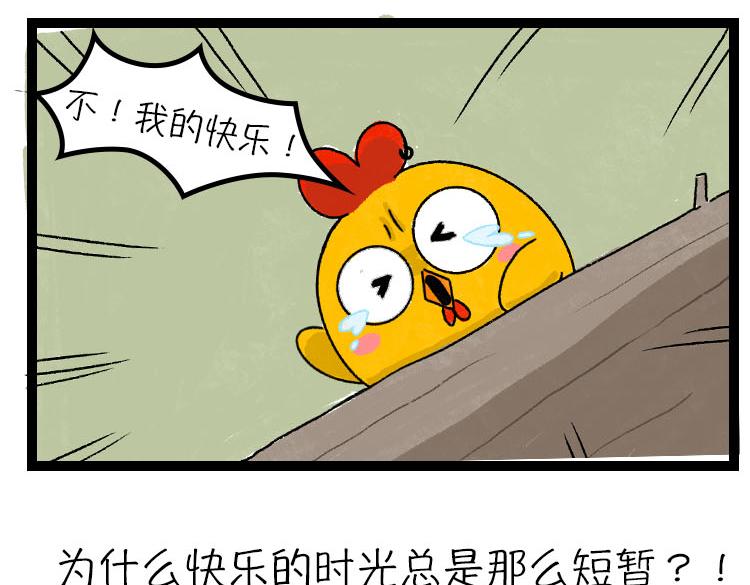 《小鸡星球》假期走的太快就像龙卷风 第4页