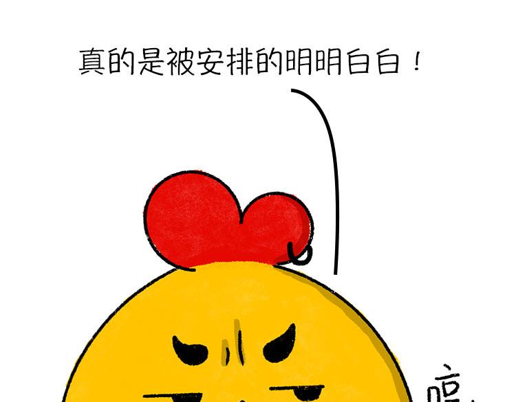 《小鸡星球》假期走的太快就像龙卷风 第8页