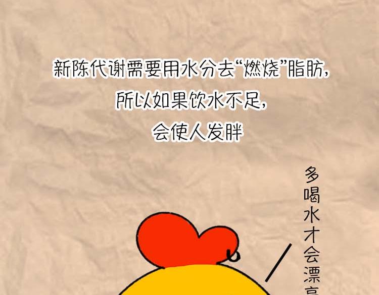 《小鸡星球》减肥冷知识 第3页