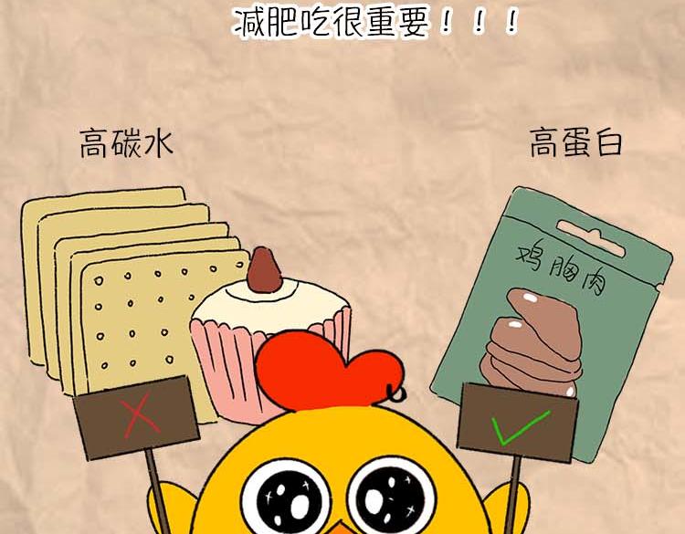 《小鸡星球》减肥冷知识 第7页