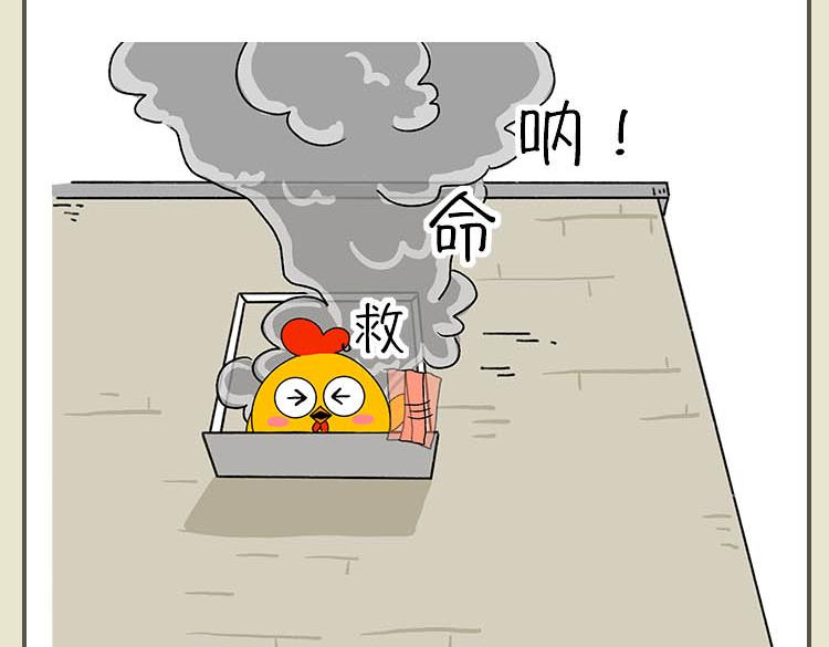 《小鸡星球》灾难自救指南 第13页