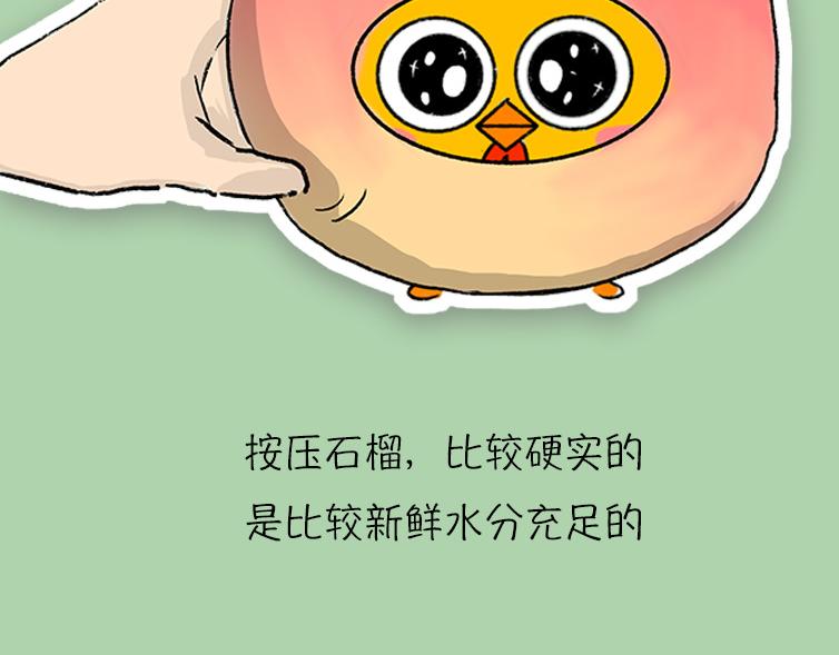 《小鸡星球》挑水果攻略 第11页