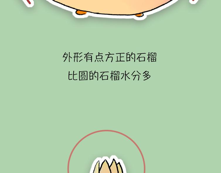 《小鸡星球》挑水果攻略 第15页