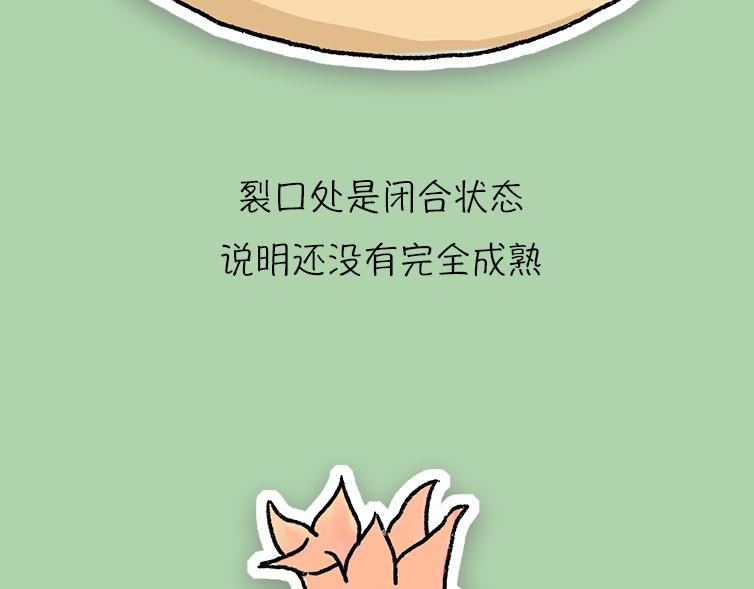 《小鸡星球》挑水果攻略 第17页