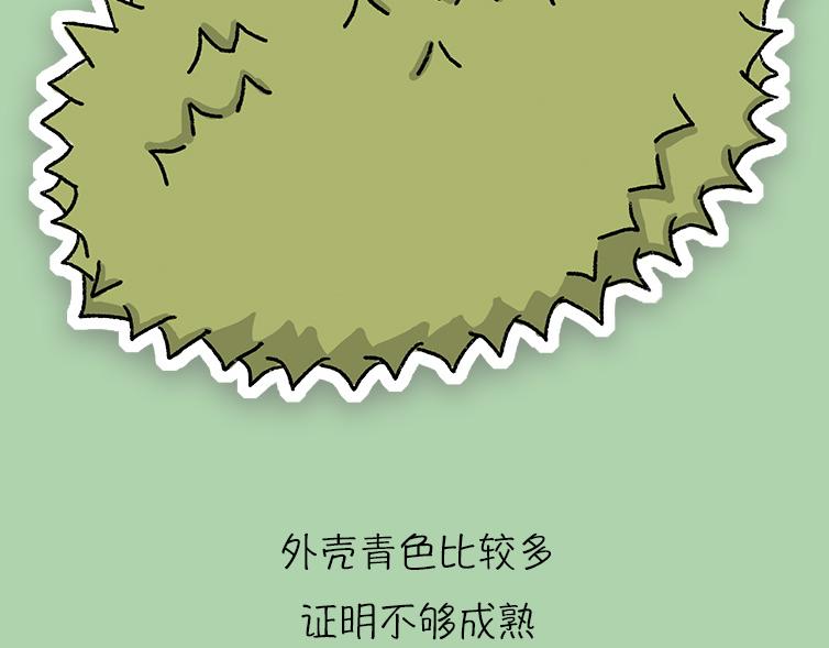 《小鸡星球》挑水果攻略 第24页