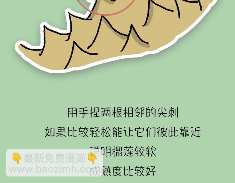 《小鸡星球》挑水果攻略 第26页