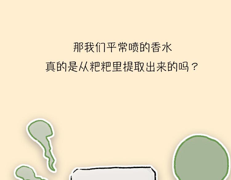 《小鸡星球》粑粑和香水的关系 第18页