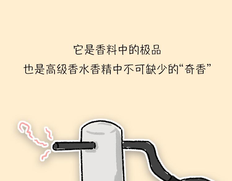 《小鸡星球》粑粑和香水的关系 第31页