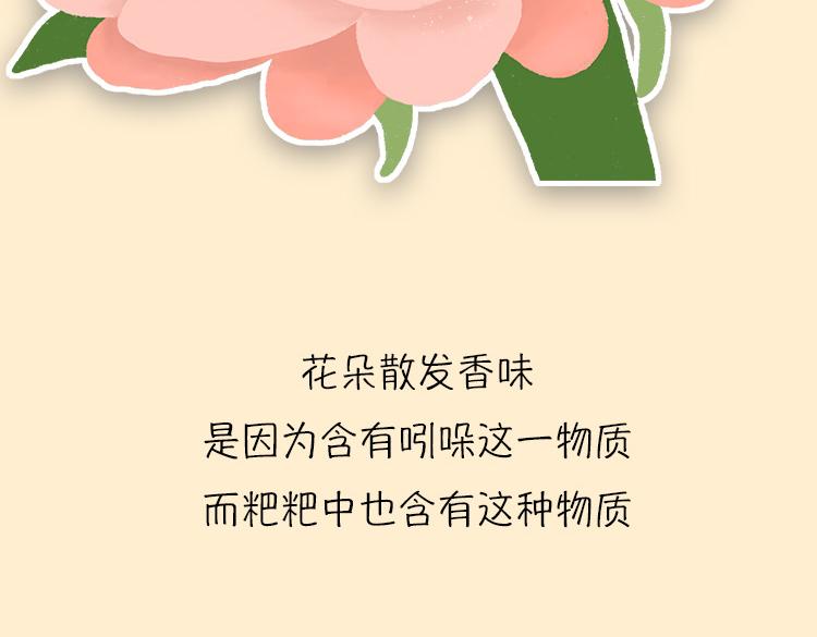 《小鸡星球》粑粑和香水的关系 第6页
