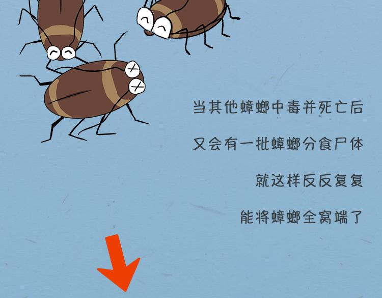 《小鸡星球》大螂该吃药了 第27页