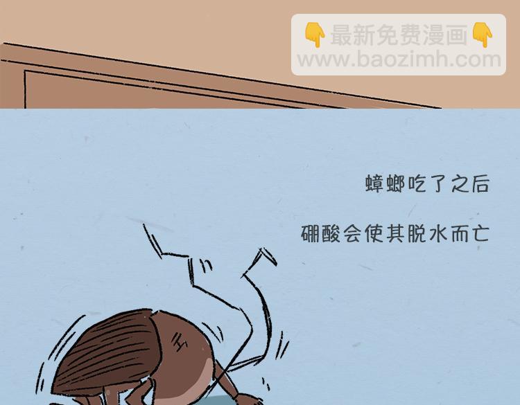 《小鸡星球》大螂该吃药了 第36页