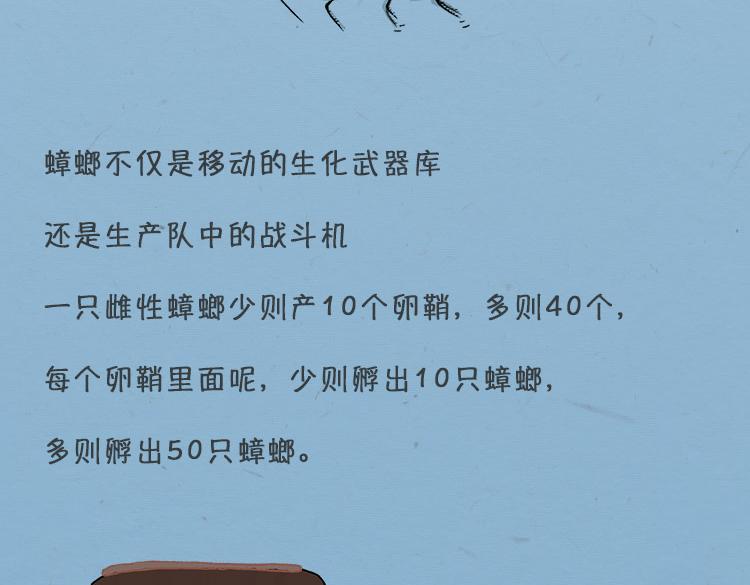 《小鸡星球》大螂该吃药了 第5页